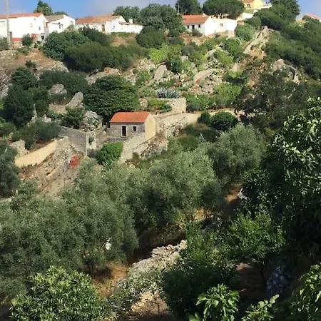 Βίλα Casa Da Encosta - Charming House W Outdoor Kitchen